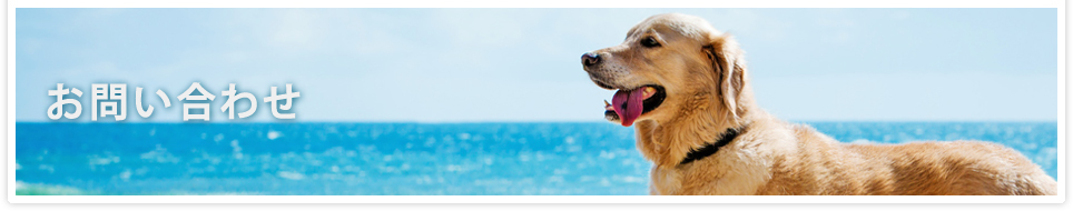 うえだ動物クリニックお問い合わせ